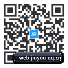系统版 iOS 二维码